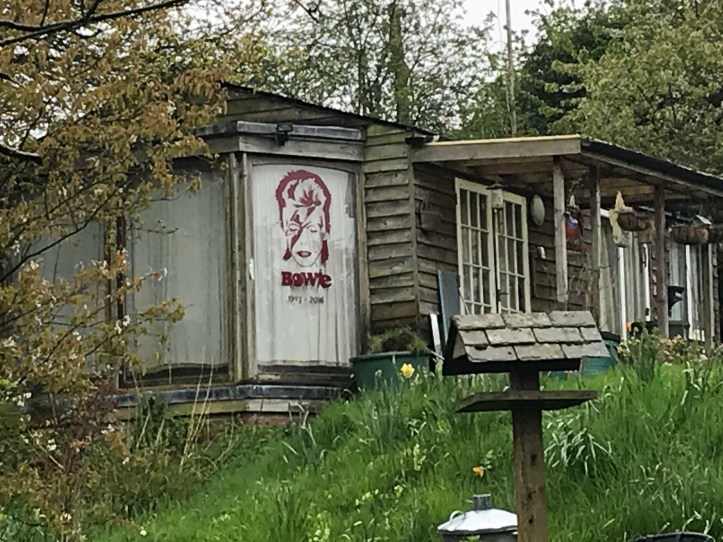 Bowie tribute